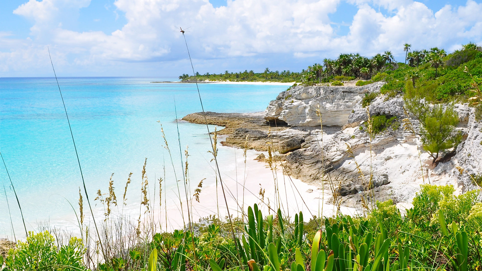 Eleuthera Homes for Sale
