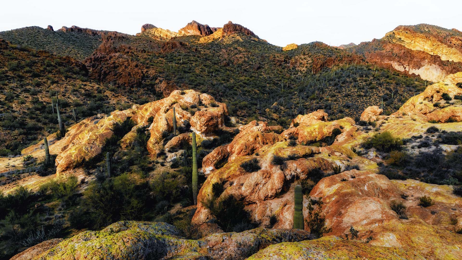 mountainbrook village homes for sale gold canyon az